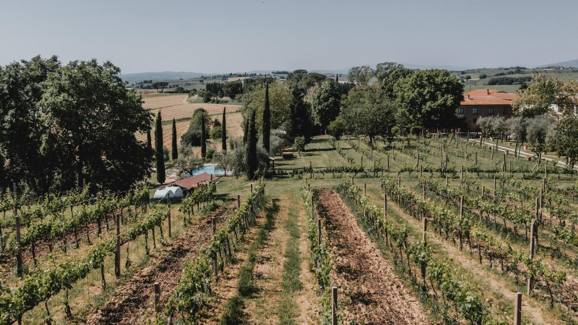 Podere Biagio Valiano Εξωτερικό φωτογραφία